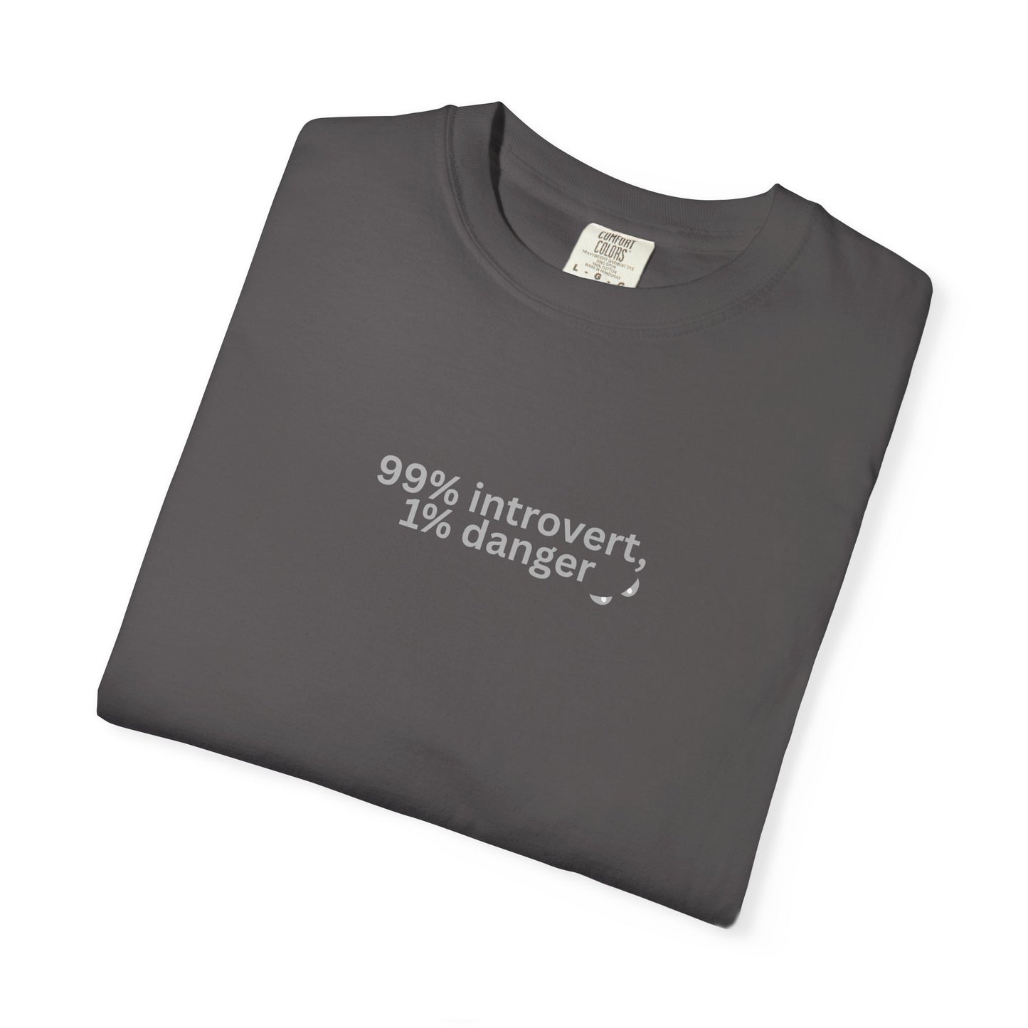 99% Introvert T-Shirt, Casual Tee, Funny Gift for Introverts, Unisex Apparel, Weekend Wear, Social Distancing Style